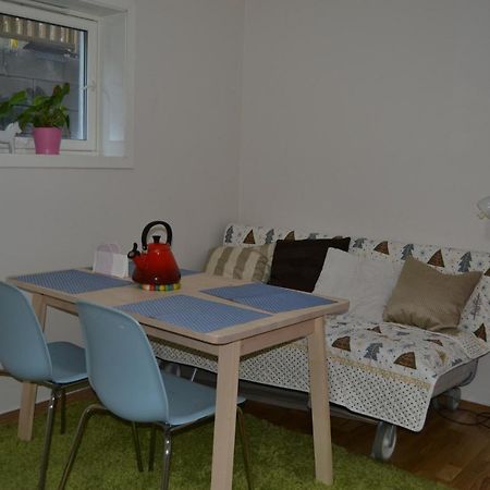 Totally Independent Apartment Near Ntnu,Lerkendal And Center Trondheim Ngoại thất bức ảnh